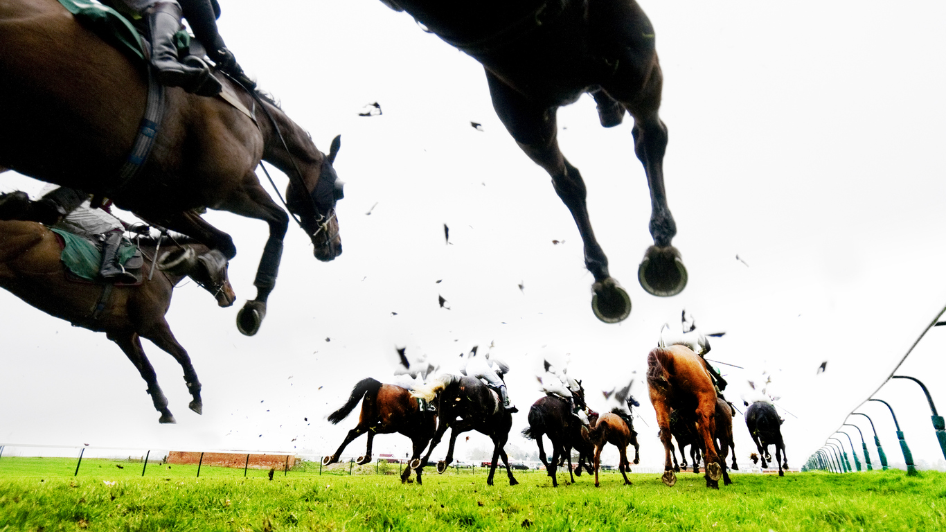 Steeplechase Jump And Horse Racing