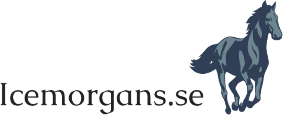 icemorgans.se